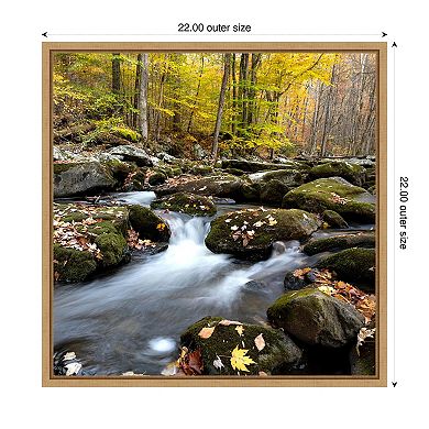 Autumn Rush by Danny Head Framed Canvas Wall Art Print