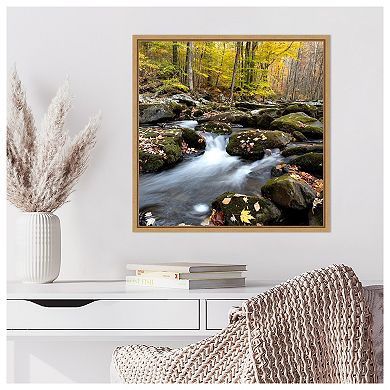 Autumn Rush by Danny Head Framed Canvas Wall Art Print