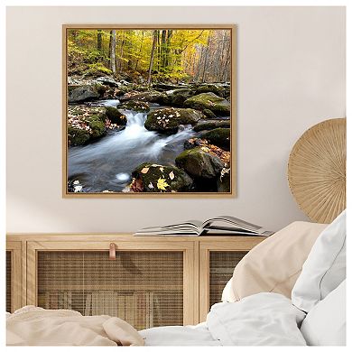 Autumn Rush by Danny Head Framed Canvas Wall Art Print