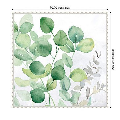 Eucalyptus Leaves II by Cynthia Coulter Framed Canvas Wall Art Print