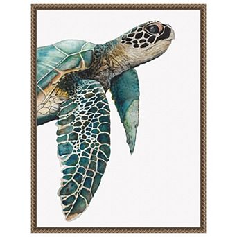Great Sea Turtle by Jodi Hatfield Framed Canvas Wall Art Print