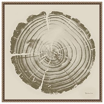 Tree Trunk cream II by Marie Elaine Cusson Framed Canvas Wall Art Print