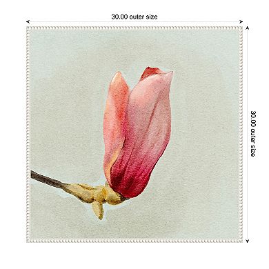 Magnolia Bud I by Katie Oshea Framed Canvas Wall Art Print