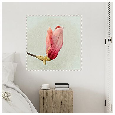 Magnolia Bud I by Katie Oshea Framed Canvas Wall Art Print