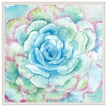Sweet Succulents I by Cynthia Coulter Framed Canvas Wall Art Print