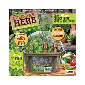 Unique Gardener Biosphere Terrarium Culinary Herb Collection