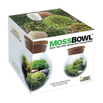 Unique Gardener MossBowl - Moss Garden Kit