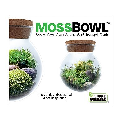 Unique Gardener MossBowl - Moss Garden Kit