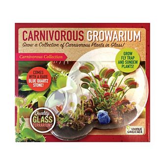 Unique Gardener Double Sphere Glass Terrarium Carnivorous Growarium
