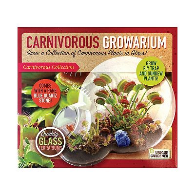Unique Gardener Double Sphere Glass Terrarium Carnivorous Growarium
