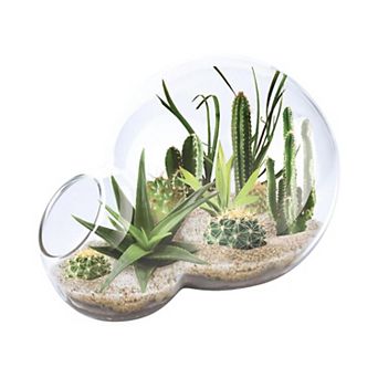 Unique Gardener Double Sphere Glass Terrarium Desert Escape Growarium