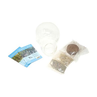 Unique Gardener Double Sphere Glass Terrarium Desert Escape Growarium