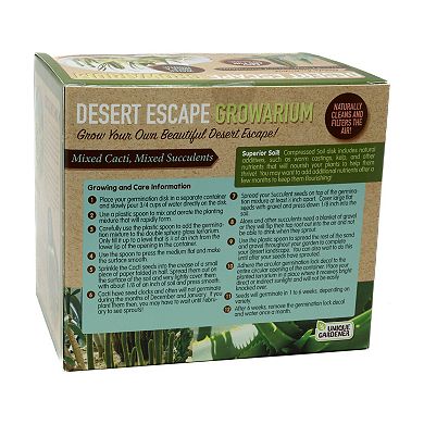 Unique Gardener Double Sphere Glass Terrarium Desert Escape Growarium