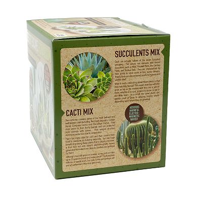 Unique Gardener Double Sphere Glass Terrarium Desert Escape Growarium