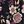Black Daffodil Floral