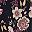 Black Daffodil Floral