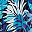 Black Multi Tropical
