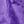 Plum Burst