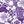 Radiant Purple Floral