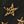 Black Animal Star