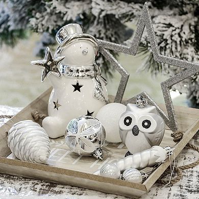 Winter Woodlands Large White and Silver Ornament 90 Set of Owls, Cones, Snowflakes, and Stalactites