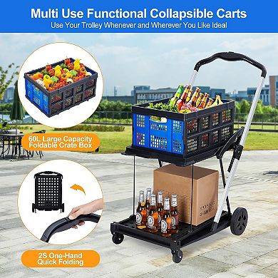 Collapsible Shopping Cart, Foldable Grocery Cart for Home, Groceries, Supermarket