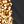 Black And Gold