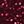 Burgundy Red
