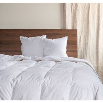 2 Pack Down Alternative Throw Pillow Insert