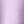 Orchid