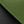Green Black