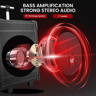 Pyle 10'' Portable Wireless Bluetooth Speaker System - Wireless Microphone, FM Radio