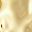 Gold Tone Pearl