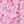 Pink Balboa Floral