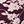 Mod Floral