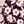 Mod Floral