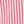 Pink Canopy Stripe