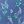 Blue Willa Wisteria