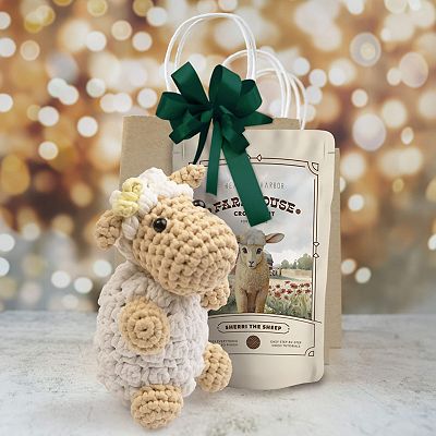 Hearth & Harbor Amigurumi Crochet Kit for Beginners Adults and Kids