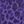 Purple Animal
