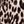 Beige Leopard Spots