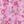 Pink Balboa Floral
