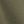 Medium Olive