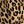 Tan Jana Leopard