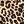 Tan Wild Cheetah