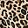 Tan Wild Cheetah