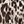 Beige Leopard Spots