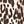 Beige Leopard Spots