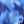 Blue Floral