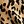 Tan Jana Leopard